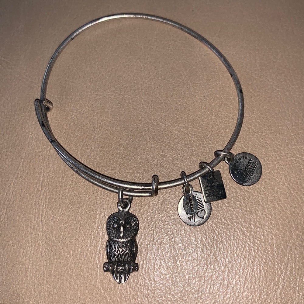 Owl Silver Alex and Ani charm bracelet